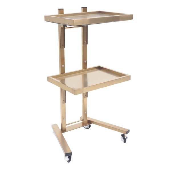 Rolling Trolley Cart Salon Storage Stand with Tray and Wheels