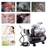 Timbertech Airbrush Kit With Compressor AS-186K With Airbrush Gun, Air