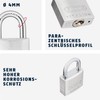 ABUS Padlock Titalium 64TI/25 gl.-6256 - keyed Alike - Lock