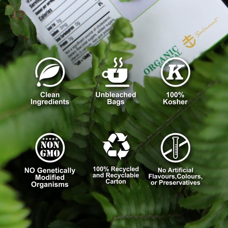 Soilmount Organic Ginger Tea | 100% Natural Ginger Root |