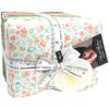 Corey Yoder Abloom 39 Fat Quarters Moda Fabrics 29210AB