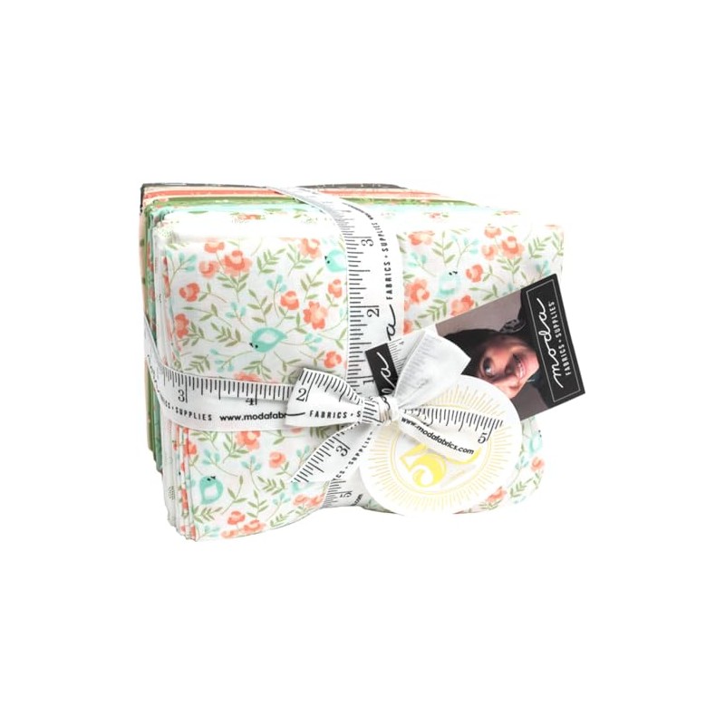 Corey Yoder Abloom 39 Fat Quarters Moda Fabrics 29210AB