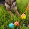 Messy Mutts Totally Pooched Huff'n Puff Ball | 2.5” TPR