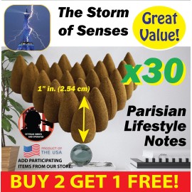 Benben Home & Lifestyle Storm of Senses US Incense 30xBackflow ~ Vegan ~ High Fragrance Load