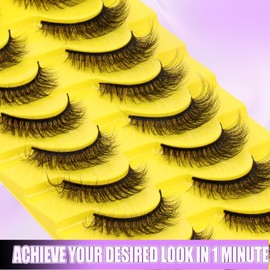 DIY Strip Lash for Using at Home: 10 Pairs, Natural Look, Fluffy, Manga, Wispy, Waterproof, Anime, Cat Eye, D Curl, JN17