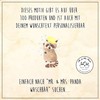 Mr. & Mrs. Panda Car Sun Shade Raccoon Gift Good