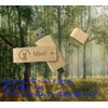 Mies' Wooden USB Memory 32GB 128GB with TypeC Interface (2