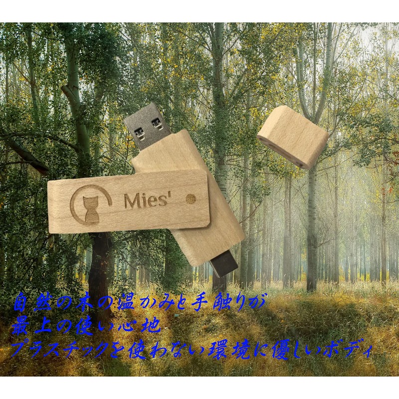 Mies' Wooden USB Memory 32GB 128GB with TypeC Interface (2