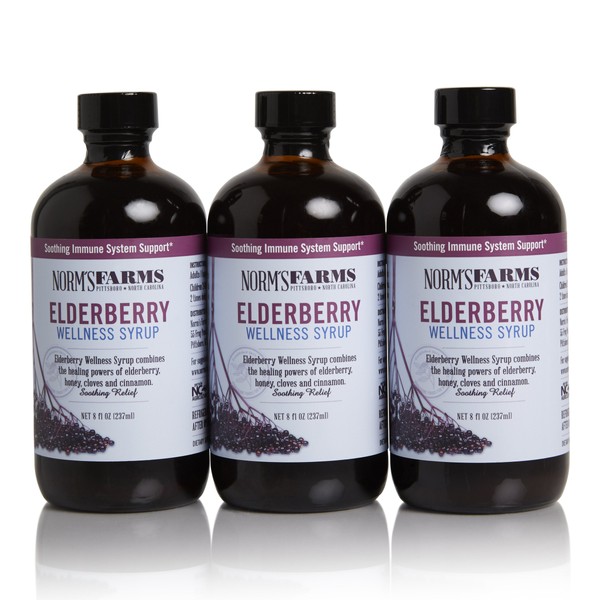 Norm's Farms Black Elderberry Wellness Syrup 8 Ounce Bottle, Pack of 3