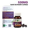 OIC NEW Nano Silymarin - 60 Capsules - Liver Health