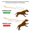 Shock Absorber for Dogs, Bungee Dog Leash Extension with Bungee