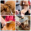 6 Pieces Dog Grooming Curved Scissor for Dog Professional Pet