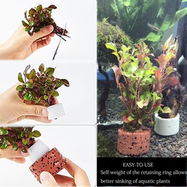 icyhey 30Pcs Aquatic Water Plant Fixed Rings, 25mm Aquatic Plant Fixed Ring Base Cultivation Rings for Aquarium Landscaping and Ceramic Plant Pots,Fish Tank Accessories