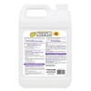 House Wash, 1-Gallon