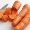 ATLAS Carrot -Atlas Nutri