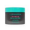 Bring Green Tea Tree Cica Pore Clay Pack Strong 100g (Sensitive) 1 pack -R / 티트리 시카 포어 클레이 팩 스트롱 100g(민감성) 1개  -R