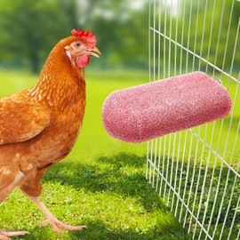 Chick Chewing Toys, Bird Calcium Teeth Chew Toy, Chicken Cage Accessories, Grinding Stone for Cockatiels Parakeets Parrots Budgies Rat Hamster Bunny (Pink, One Size)