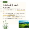 Grace of Nature Organic Green Barley Powder, Made in Japan,