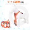 Pet Harness & Leash Set, Dog Harness, Small Dogs, Cats,