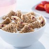 Kashi Breakfast Cereal, Vegan Protein, Organic Fiber Cereal, Bulk Pantry