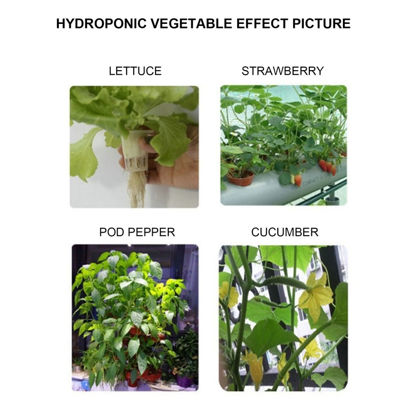 50PCS Planting Basket Mesh Pot Round Plant Grow Hydroponic Containers