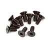 Flat Head Screw M2.5X6mm (Hex Socket/10pcs) 107374