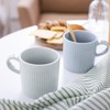 Dogiya domestic ceramics line mug 375ml set of 2 (6