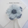 SUQ I OME 1 Pair of Curtain Tiebacks, Elegant Pearl