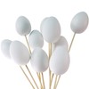 Plastic Hollow Eggs On Sticks White Easter Eggs to Decorate