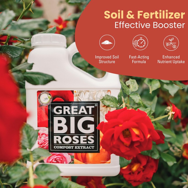 Great Big Roses – Soil and Rose Fertilizer Booster to