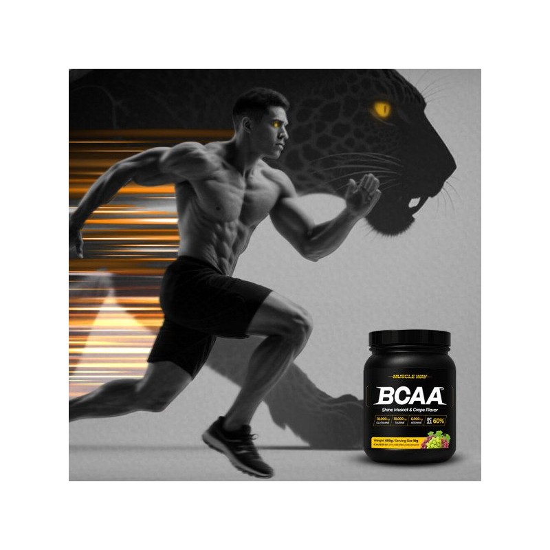 머슬웨이 머슬웨이 BCAA 아미노산 보충제 포도맛 600g 1개 MuscleWay BCAA