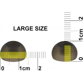 12pcs Large (L) Eartips Compatible with Raycon Everyday and Fitness Wireless Earphones - Replacement Ear Adapters Earbuds (TRS-B)