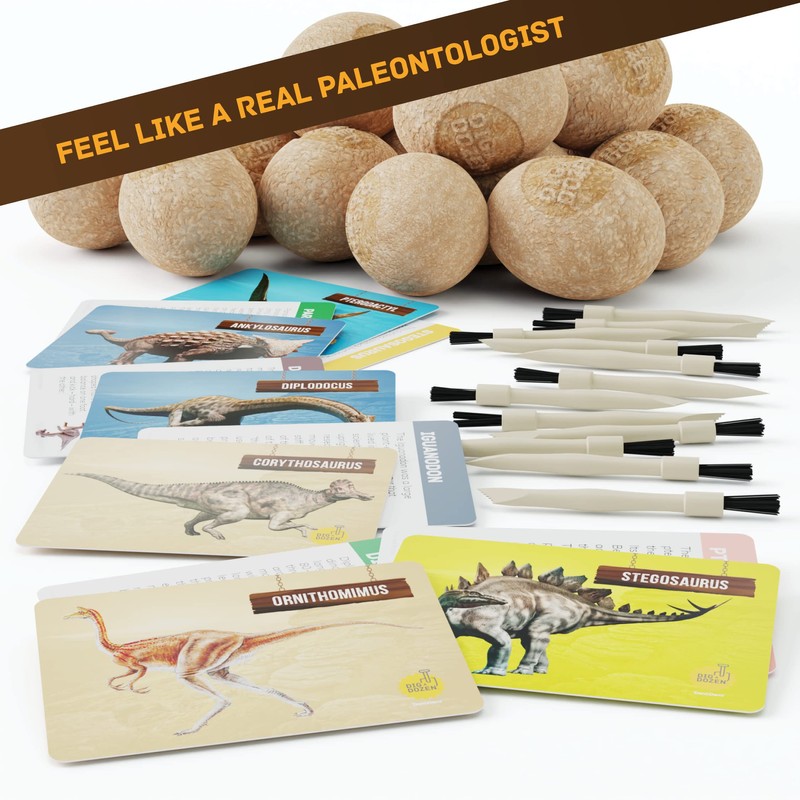 Dig a Dozen Dino Egg Kit for Kids - Dinosaur