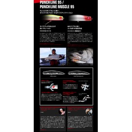 Apia Minnow Punch Line Muscle 95#04 Sardine Lure