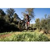 Continental Dubnital Tubeless Mountain Bike Tyre 27.5x2.40 Quick Grip Hardpack