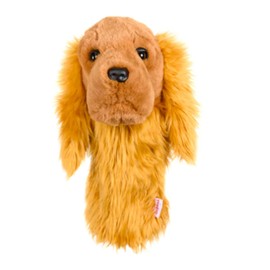 Cocker Spaniel, Does Not Apply