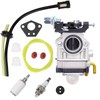 Carburettor for Brush Cutter 52cc 49cc 43cc Includes Complete Accessory
