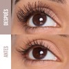 Kit Maybelline Mascara de Pestañas Lash sensational Body, Instant Age