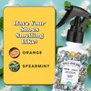 Sole-Pourri Shoe Deodorizer + Foot Spray, 3.4 Fl Oz, Up