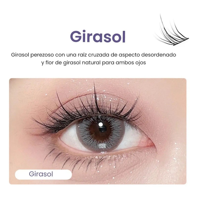 Pestañas Postizas Naturales Segmentación Extensiones Lashes