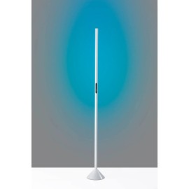 SIMPLEE ADESSO SL4920-02 Cole LED Color Changing Wall Washer Floor Lamp, White