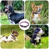 Jestrem Dog Collar, Cute Adjustable Soft and Comfortable with Printed