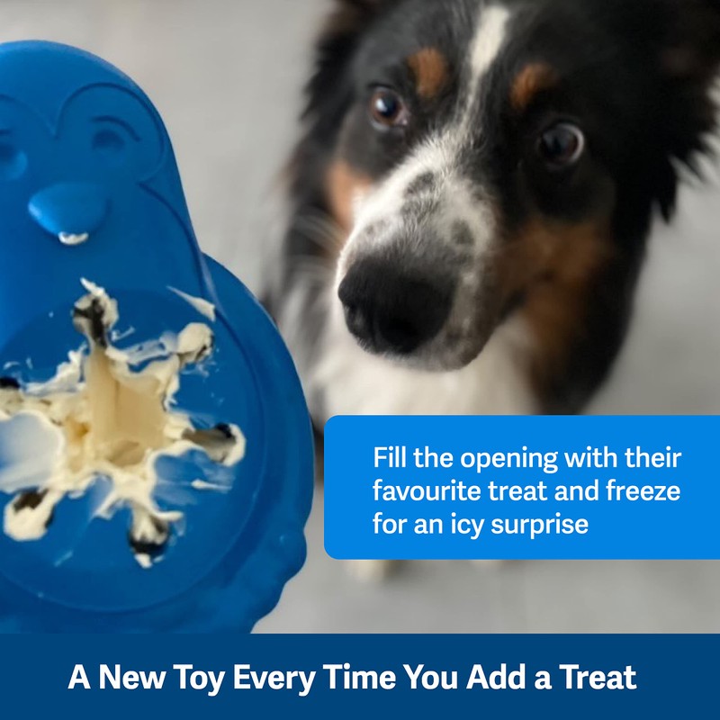 PetSafe Freezable Treat Food Dispensing Chew Toy, Small, Chilly Penguin,Blue