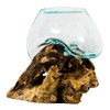 BLACK FOREST DECOR Organic Blown Glass & Root Bowl -