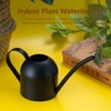Watering Can 500ML Stainless Steel Long Spout Watering Pot for