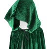 Winifred Sanderson Costume Adult Winnie Sanderson Costume Adult Green Cape