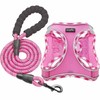 haapaw Dog Harness with Leash Set, No Pull Adjustable Reflective
