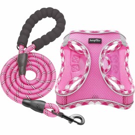 haapaw Dog Harness with Leash Set, No Pull Adjustable Reflective Step-in Puppy Harness with Thickened Padded Vest for Extra-Small/Small Medium Dogs