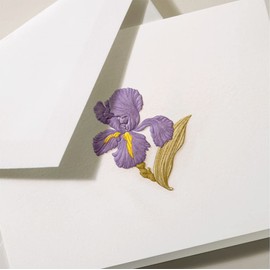Crane & Co. Iris Note Cards CF12012