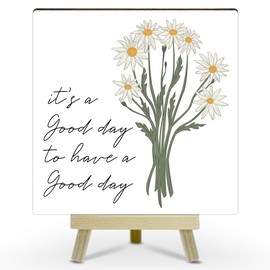 Boho Floral Office Decor for Women, Cute Desk Accessories, today is a Good Day to Have a Good Day Inspirational Desk Decor, Funny Office Gifts for Coworkers, Office Cubicle Decor (MP22)